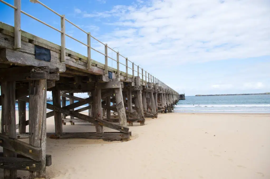 Brisbane to Sydney Cooee tour | Day 3: Gold Coast to Coffs Harbour