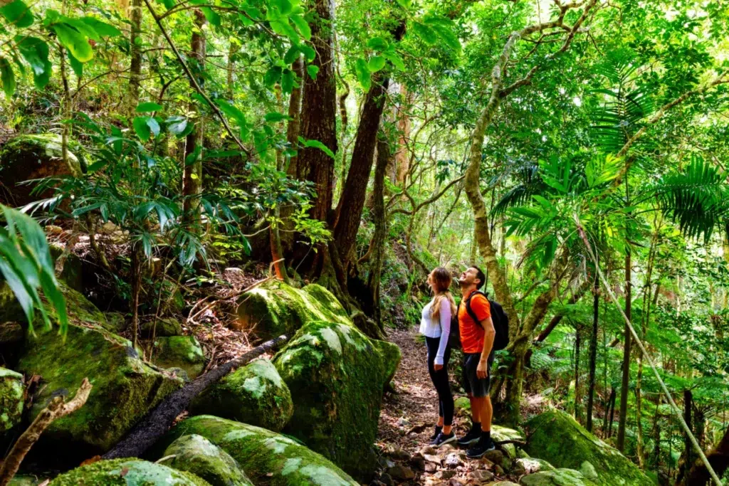 Reasons to book your trip | Couple exploring in the lush Lamington National Park, Queensland