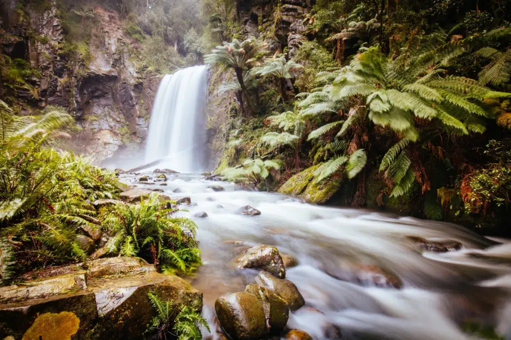 Waterfalls in Springbrook | Waterfalls in australia