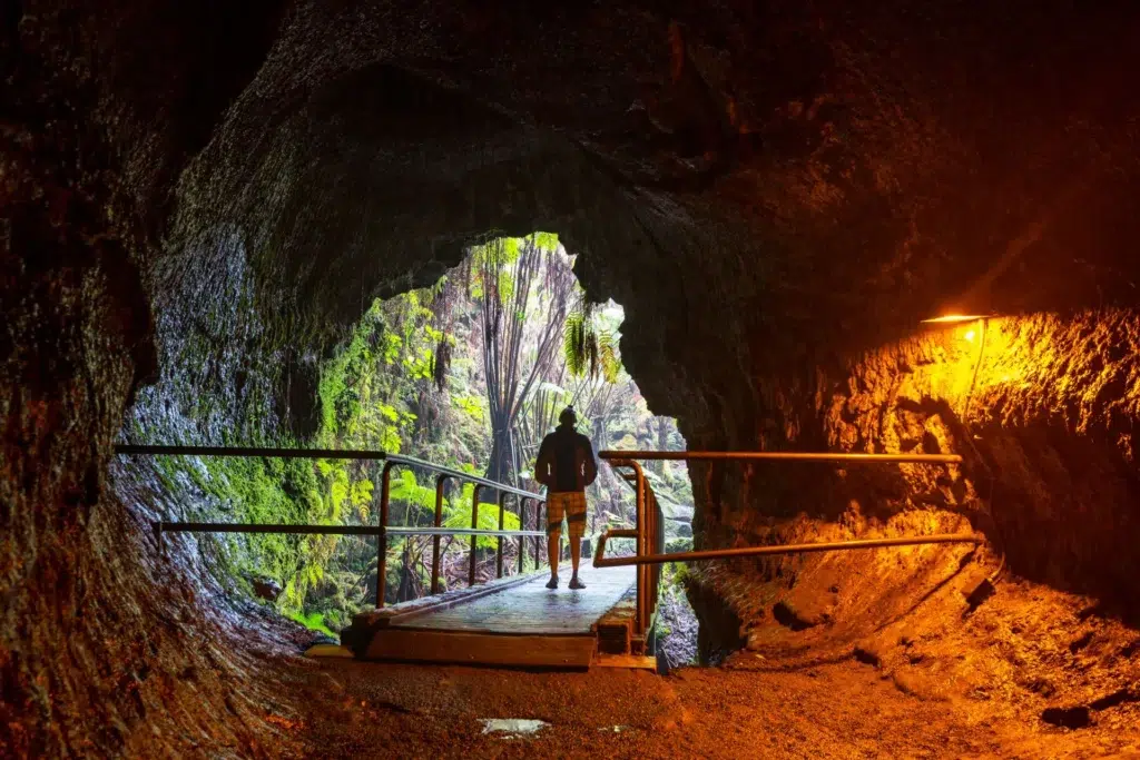 Easy to pair with nearby attractions